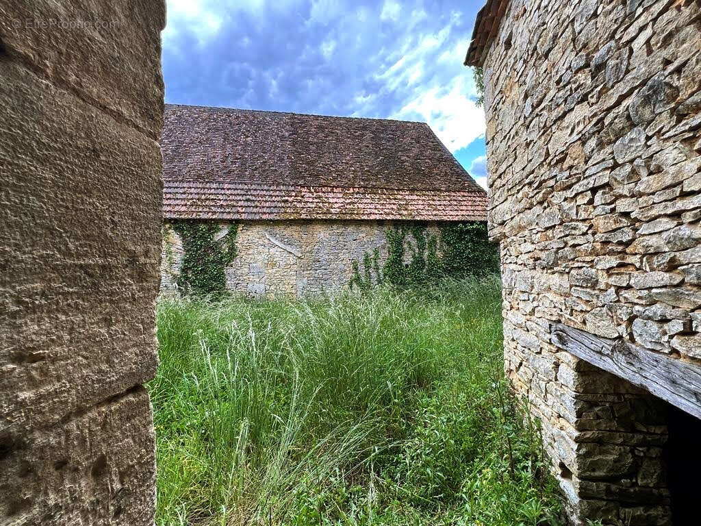 Maison avec grange à Chourgnac 4 pièce(s) 85 m2 - photo 7