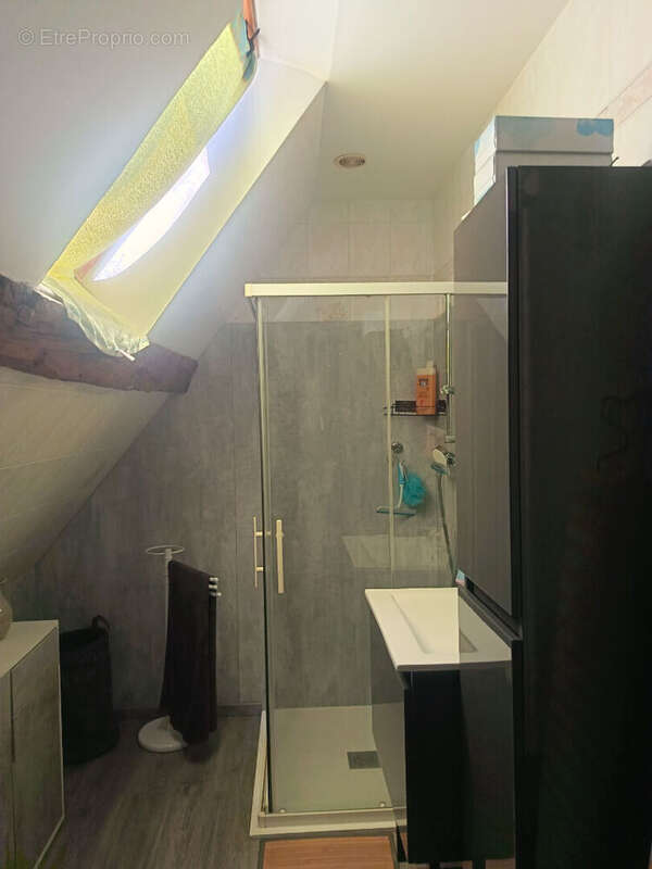 Maison Mennetou Sur Cher 10 pièce(s) 163 m2 - photo 8