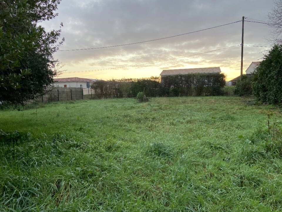 Terrain à SEYRESSE