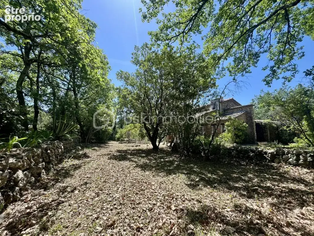 Charme de la pierre – 169 m² – St Paul En Forêt - Cadre exceptionnel au calme absolu - photo 6