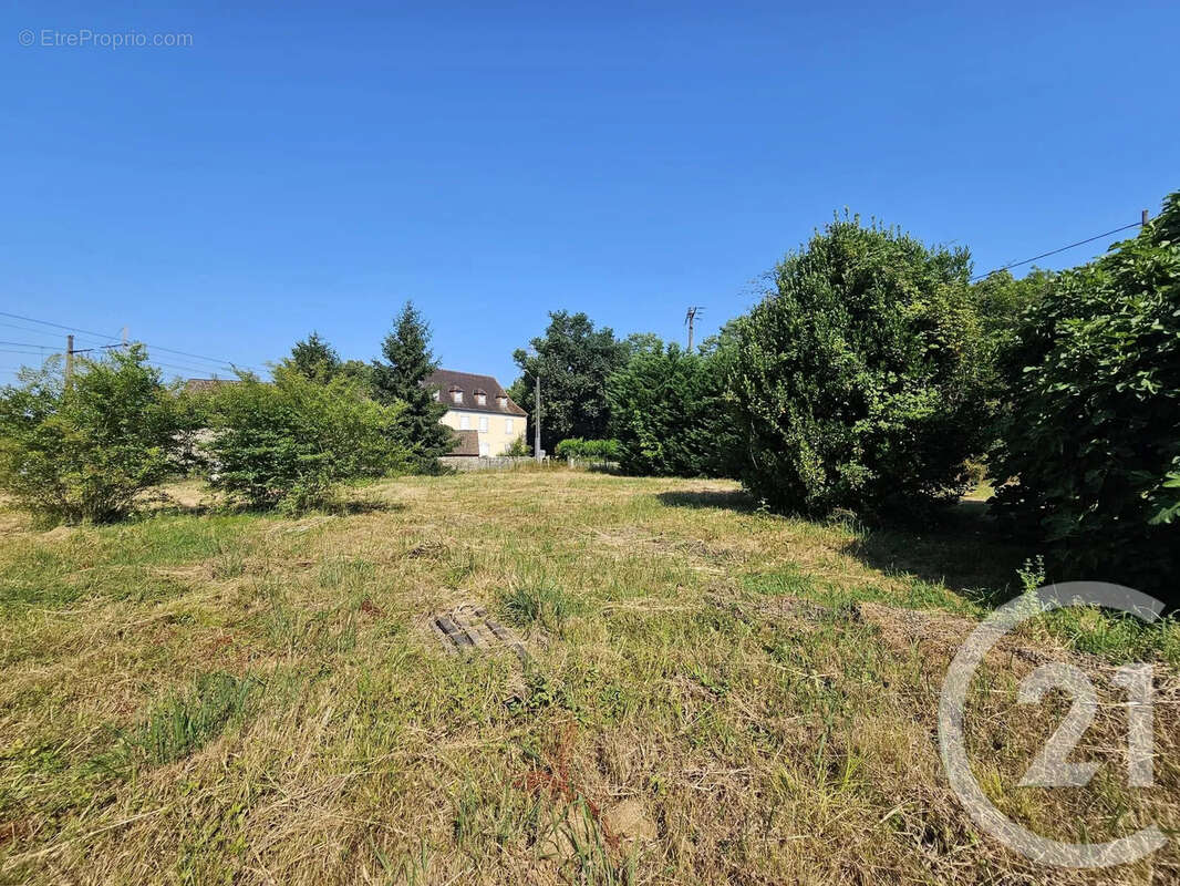 Terrain 1003 m² à Mont  - photo 6
