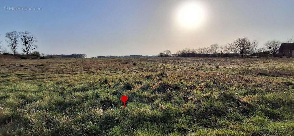 Terrain à SOINGS-EN-SOLOGNE