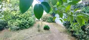 Maison à DAMAZAN