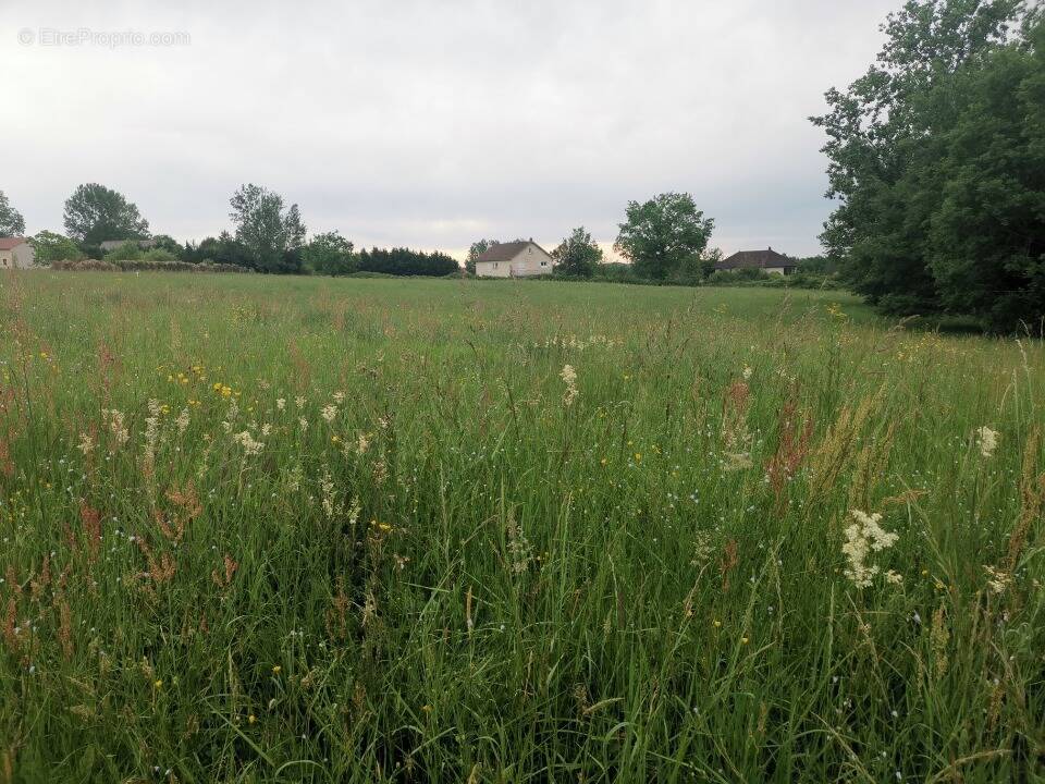 Terrain à PEYRIGNAC