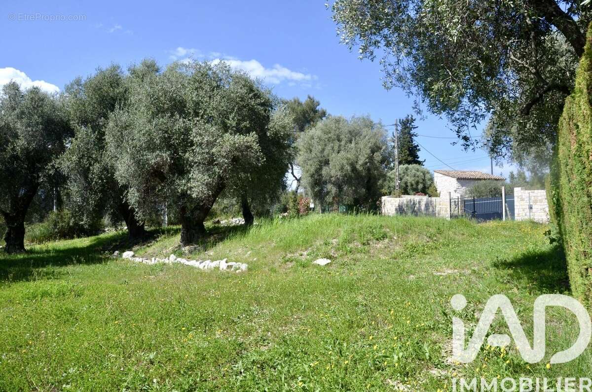 Photo 7 - Terrain à ROQUEFORT-LES-PINS