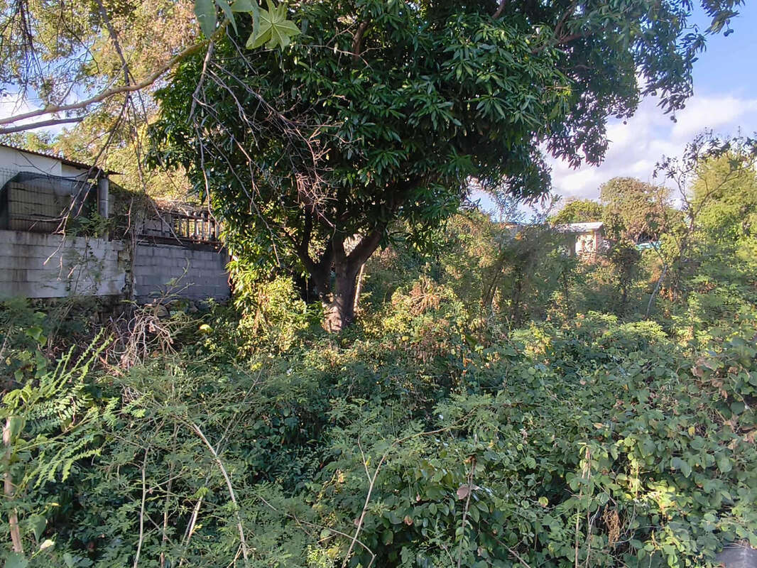 Terrain à SAINT-PIERRE
