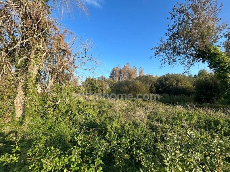 Terrain à SAINT-GEORGES-D&#039;OLERON