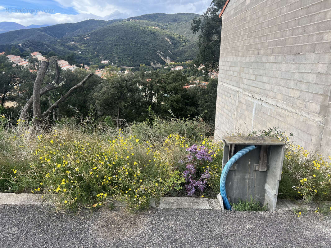 Terrain à AMELIE-LES-BAINS-PALALDA