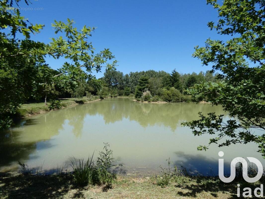Photo 1 - Terrain à SAINT-SULPICE-DES-LANDES
