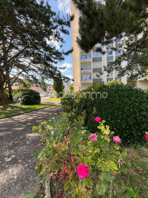 Appartement à MAROMME