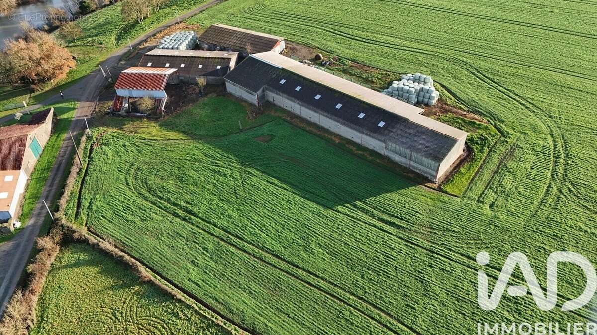 Photo 2 - Terrain à MONSIREIGNE