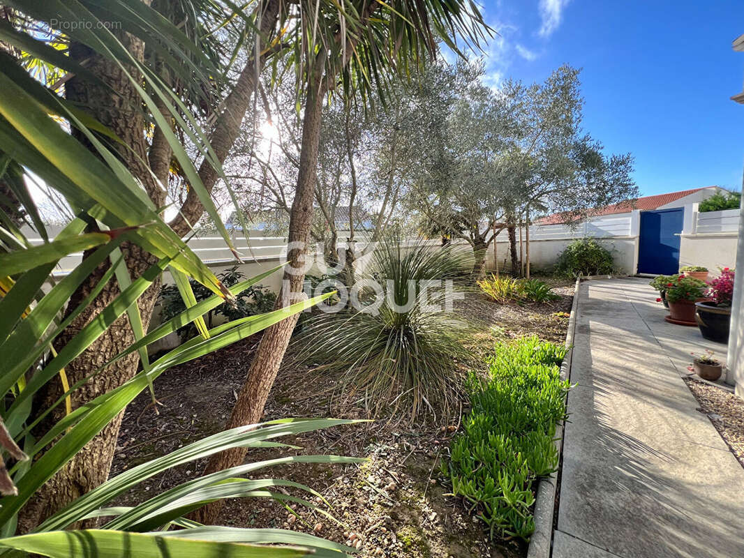 Maison à LE FENOUILLER