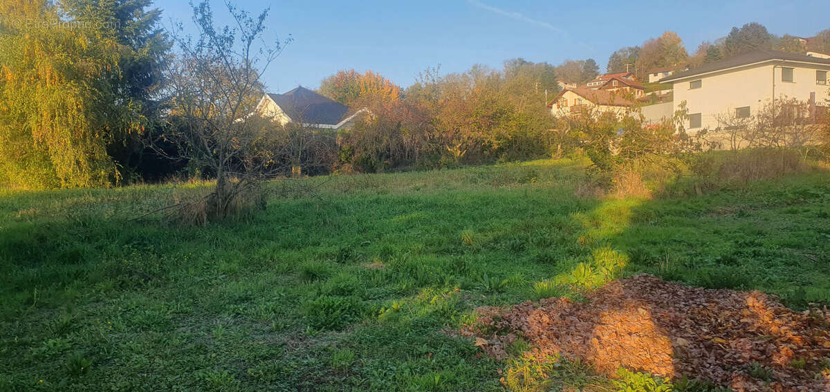 Terrain à CRANVES-SALES