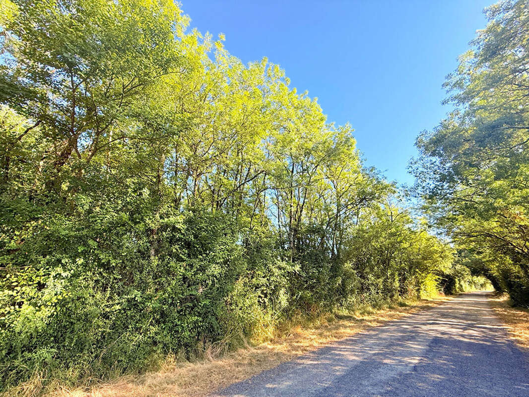 Terrain à ROCHES-PREMARIE-ANDILLE