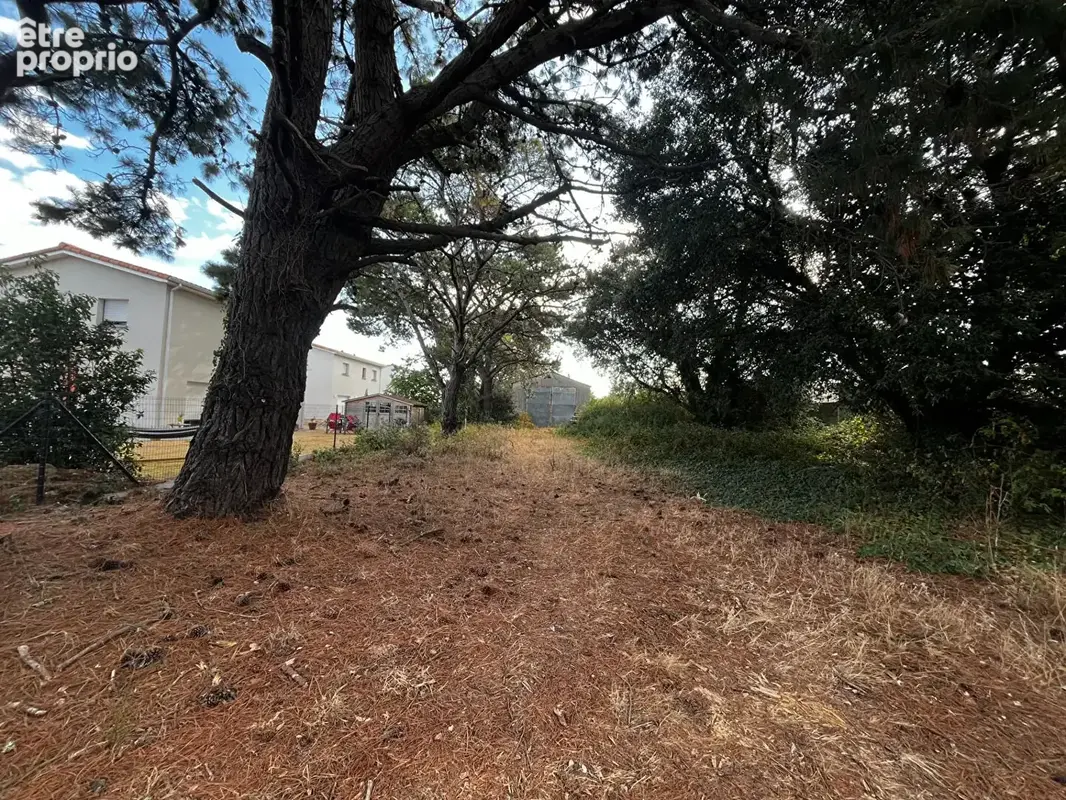 Maison de plain-pied sur un grand terrain - photo 2