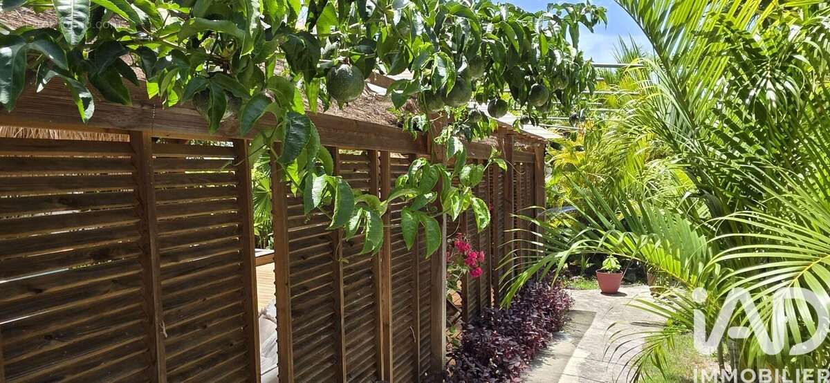 Photo 5 - Maison à SAINTE-ANNE