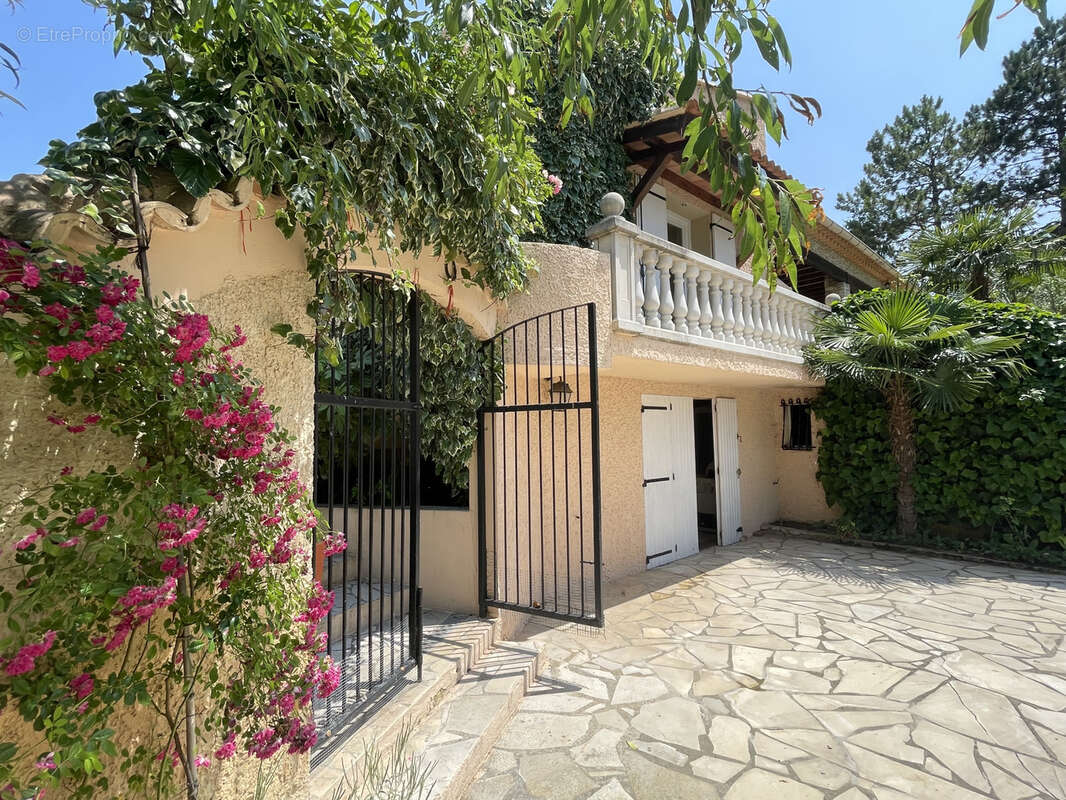 Vaison 2km / belle maison / sh240m2 / terrain 1396m2 / piscine / pool house 100m2 - photo 3