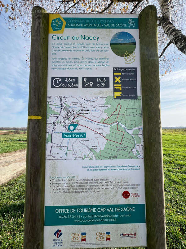 Terrain à SOISSONS-SUR-NACEY