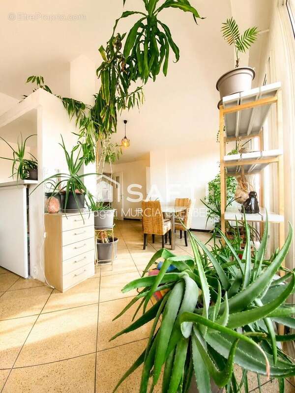 Photo 3 - Appartement à MARSEILLE-9E