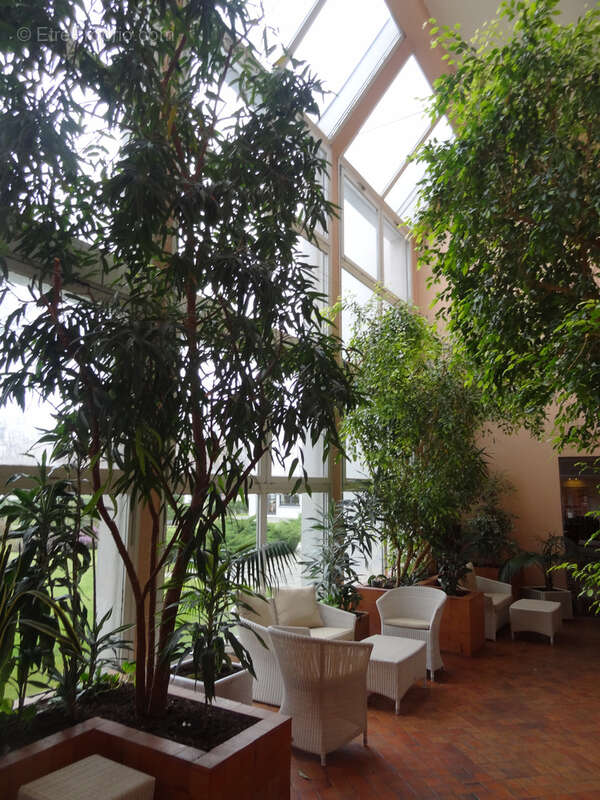 Le Chesnay-Rocquencourt appartement 2 pièces avec balcon en résidence services Domitys - photo 3