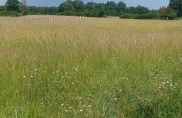 Terrain à CHATEAUDUN