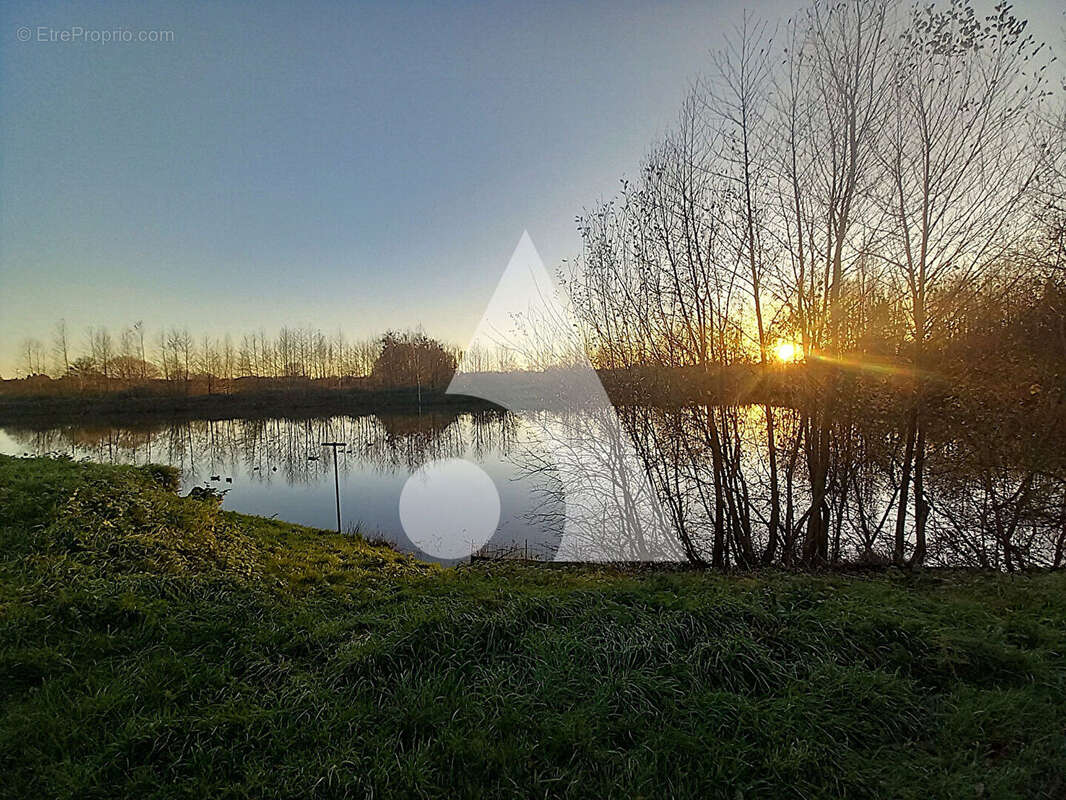 Terrain à BERLAIMONT