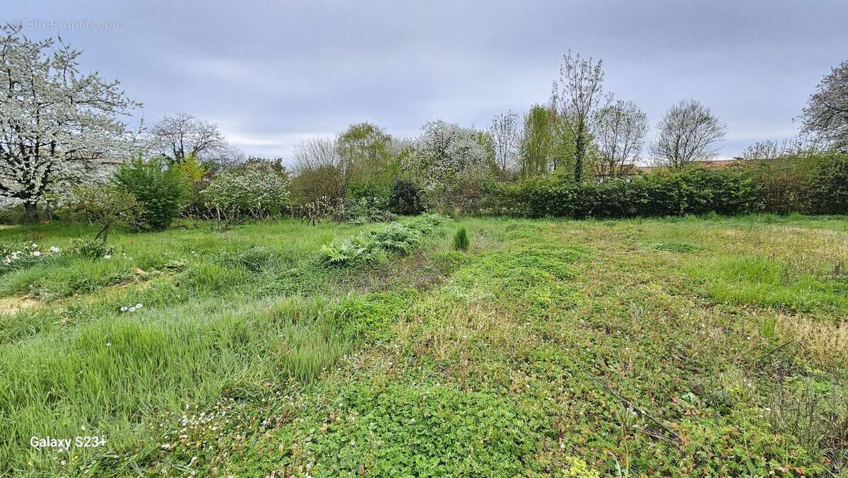Terrain à SAINT-REMY