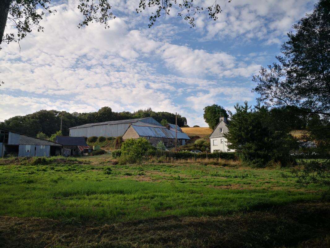Découvrez ce joli corps de ferme isolé offrant un cadre exceptionnel et un potentiel rare, implanté sur 7,5 hectares de terrains - photo 3