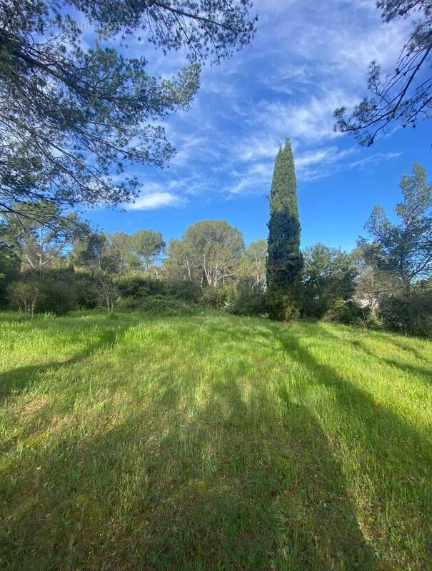 Terrain à MONTFERRIER-SUR-LEZ