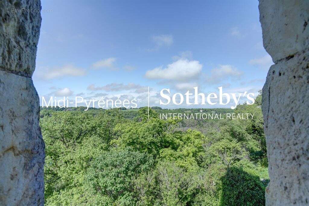 Maison à CORDES-SUR-CIEL