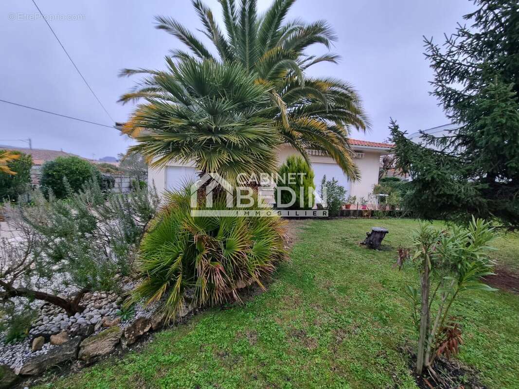 Terrain à LA TESTE-DE-BUCH