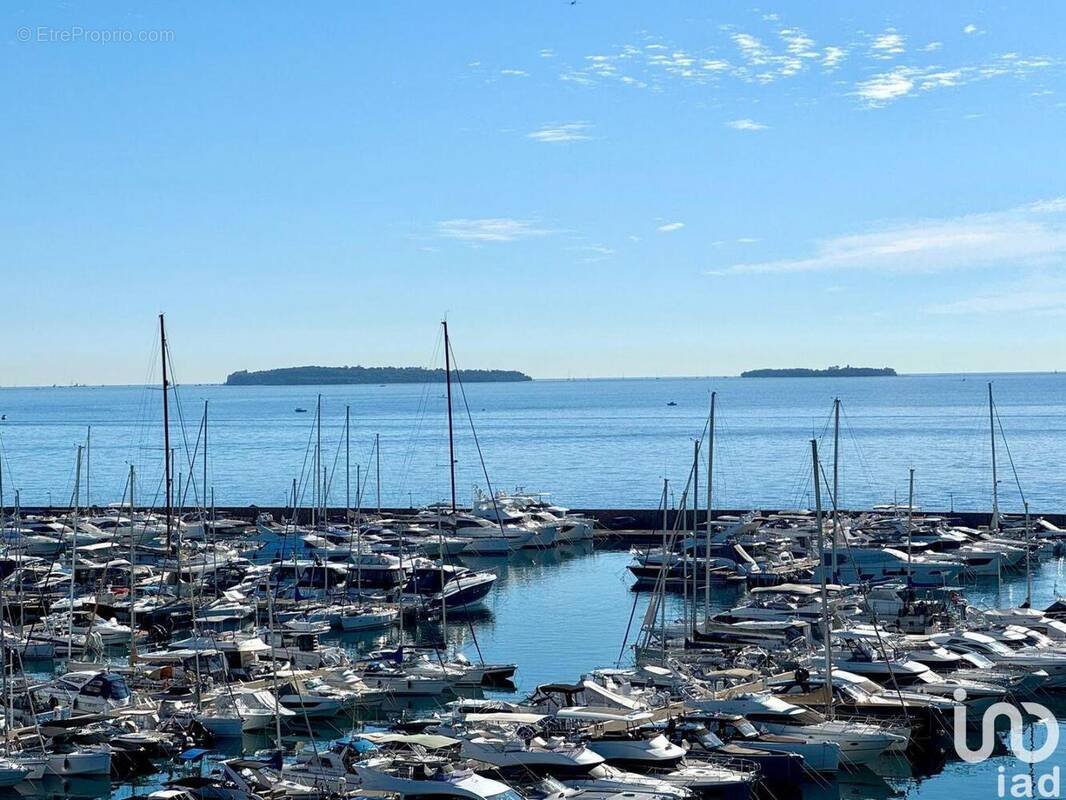 Photo 1 - Appartement à MANDELIEU-LA-NAPOULE