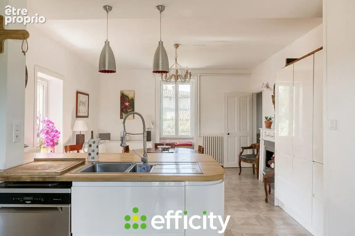 Maison 7 pièces 284 m² à vendre à Gleize (69400) - photo 4
