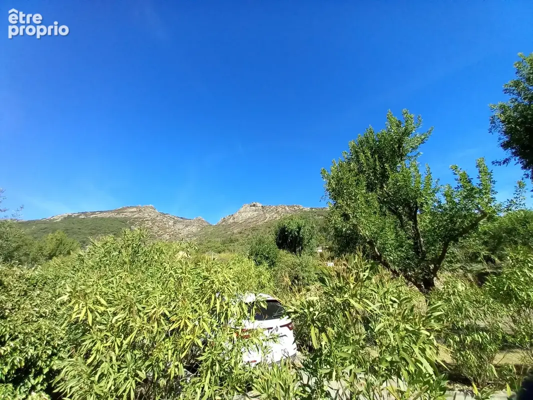 Superbe villa plain pied avec piscine sur 4000M2 arborés. - photo 56