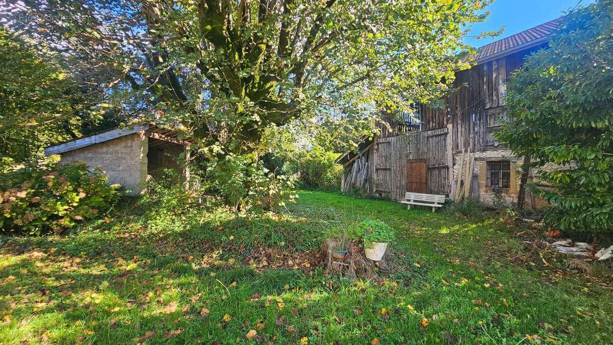  Maison à rénover avec grange indépendante – La Buisse (38500) - photo 6