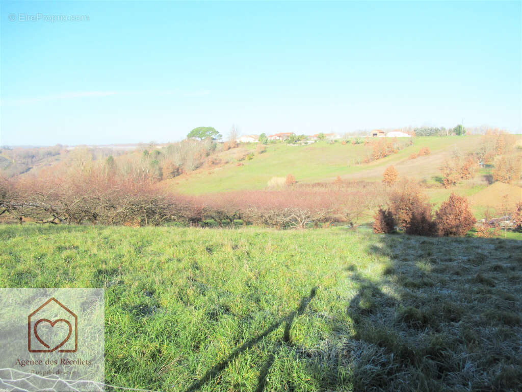 Terrain Moissac 1347 m2 - photo 2