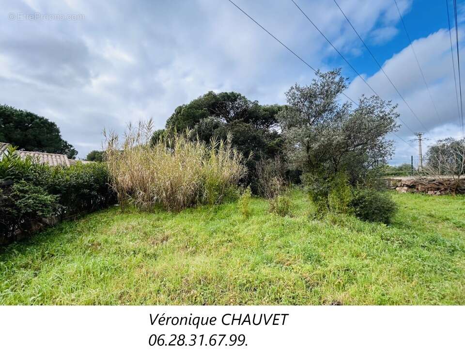 Terrain à PUGET-SUR-ARGENS