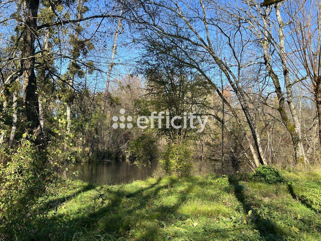 Terrain à COGNAC