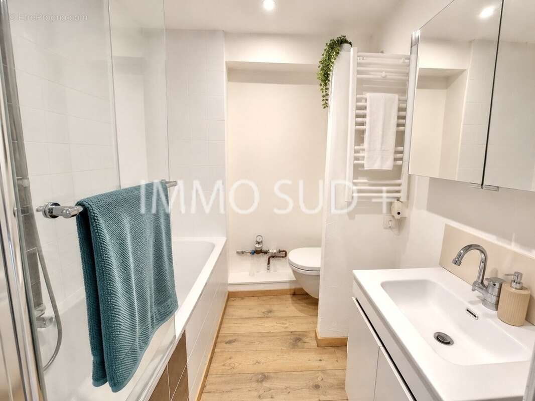 Appartement à VIZILLE