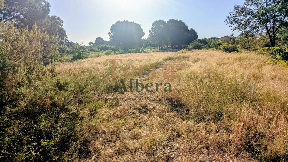 Terrain non constructible - photo 3