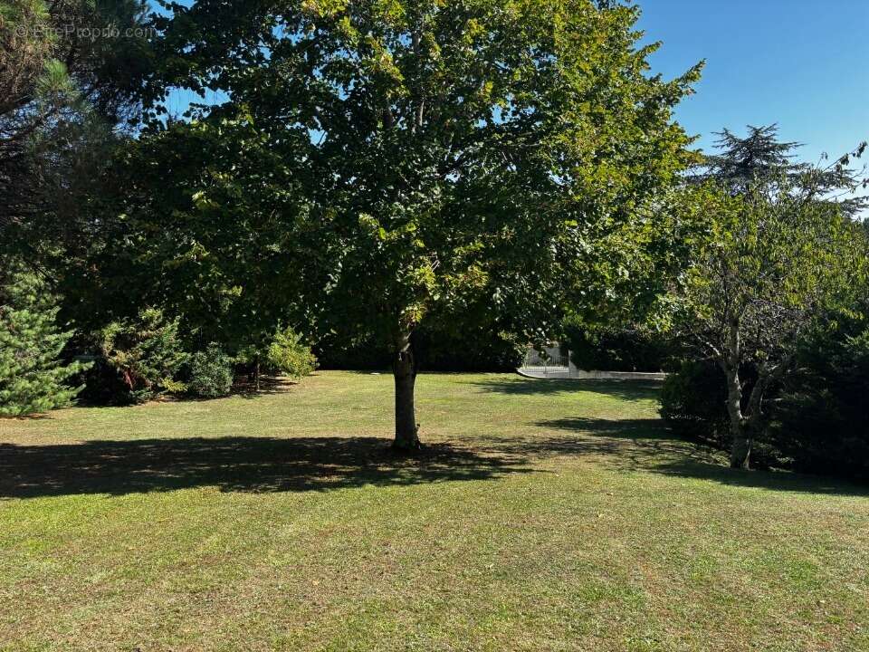 Terrain à CAMBLANES-ET-MEYNAC