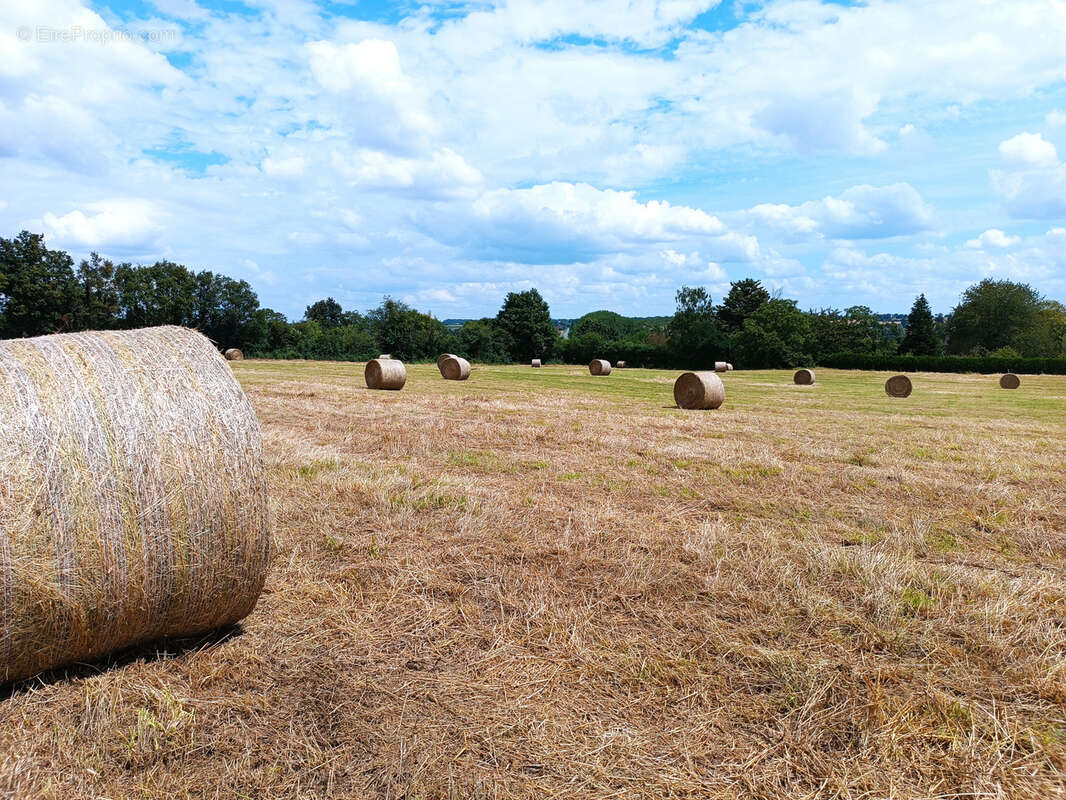 Terrain à OUROUER-LES-BOURDELINS
