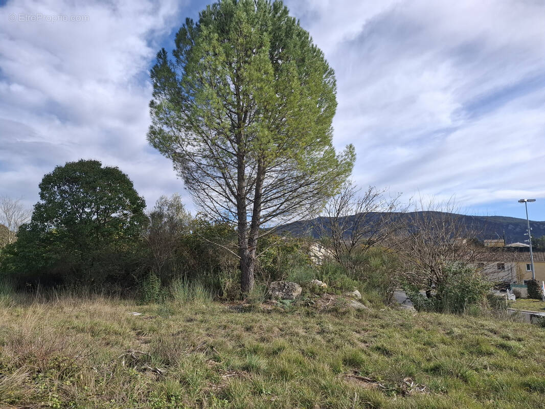 Terrain à MOULES-ET-BAUCELS