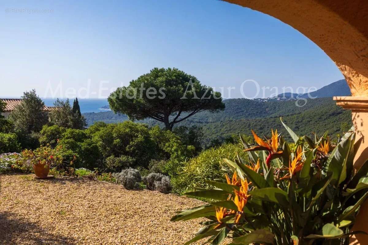 Maison à LA CROIX-VALMER