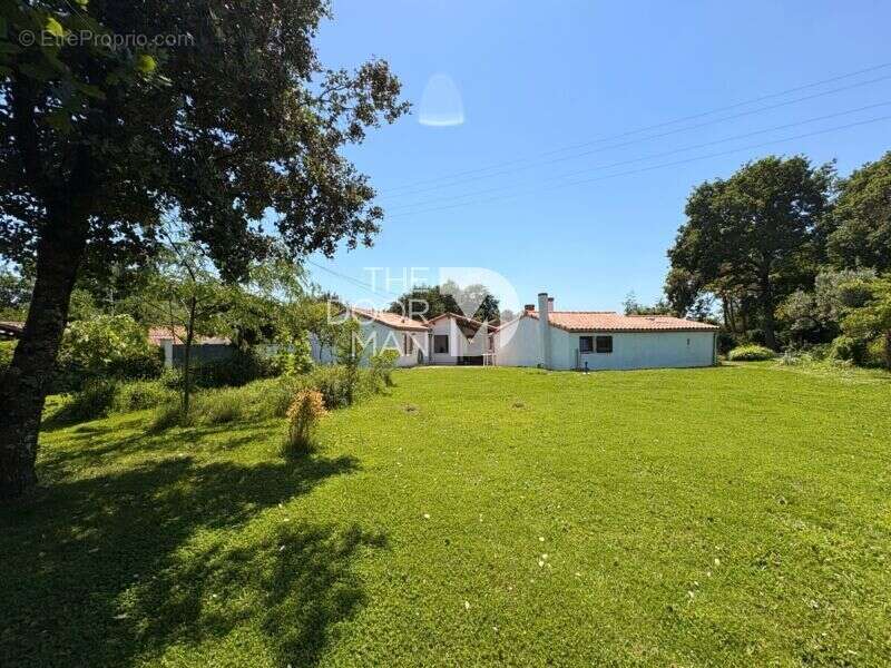 Maison 44710 - photo 9
