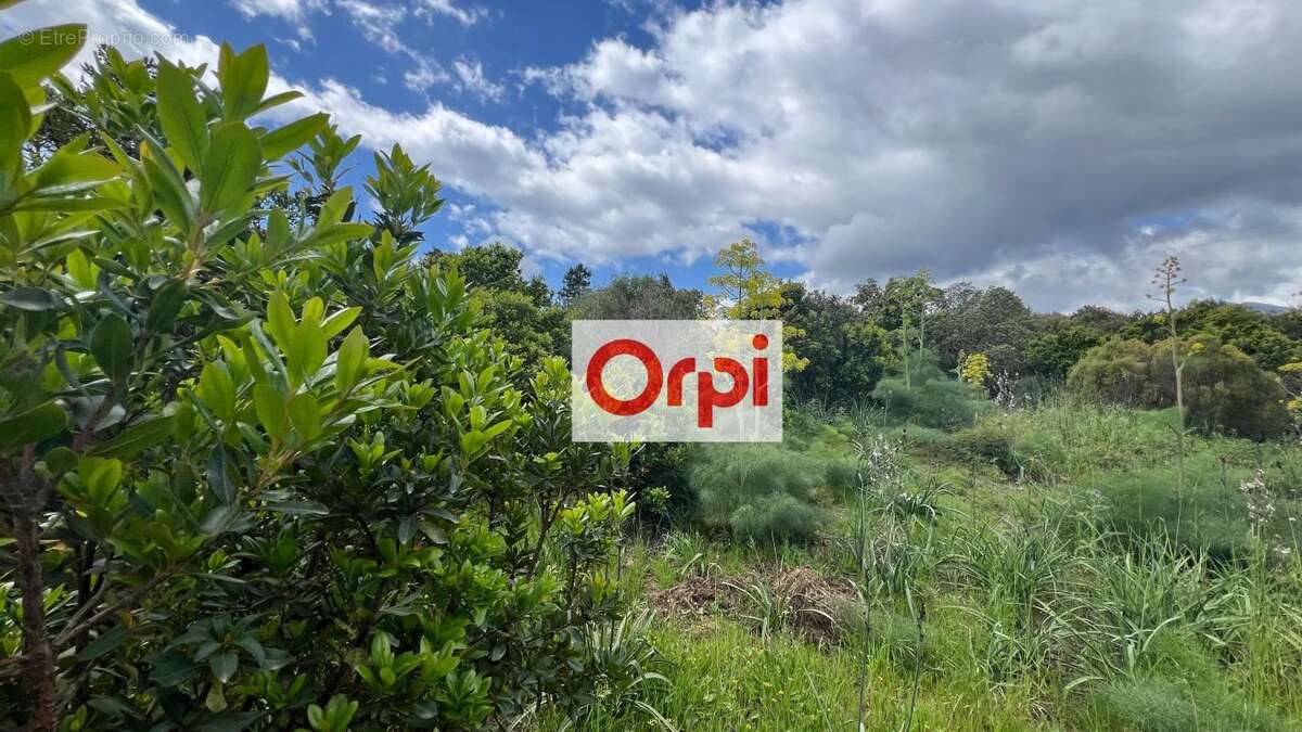 A vendre Terrain Constructible avec permis. Ste Lucie de Porto-Vecchio - photo 3