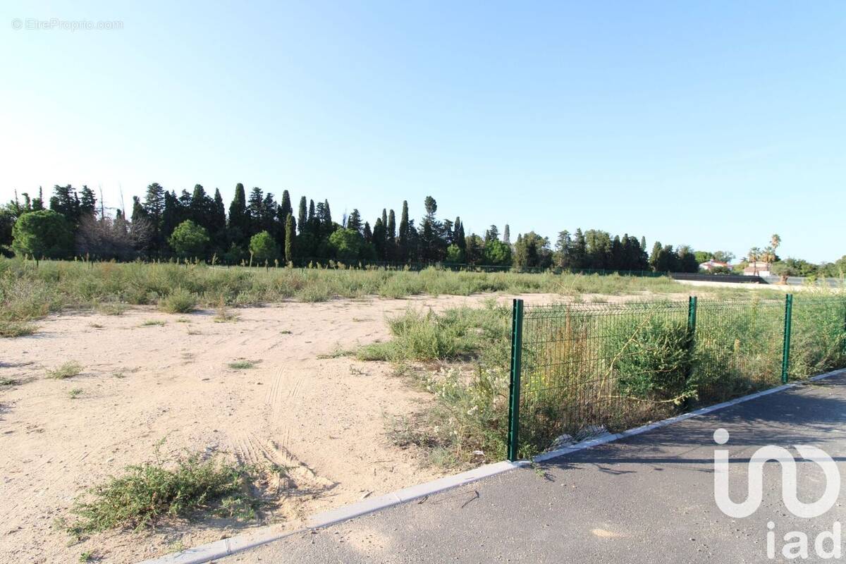 Photo 1 - Terrain à PALAU-DEL-VIDRE