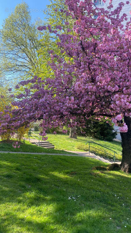 Appartement à SAINT-CLOUD