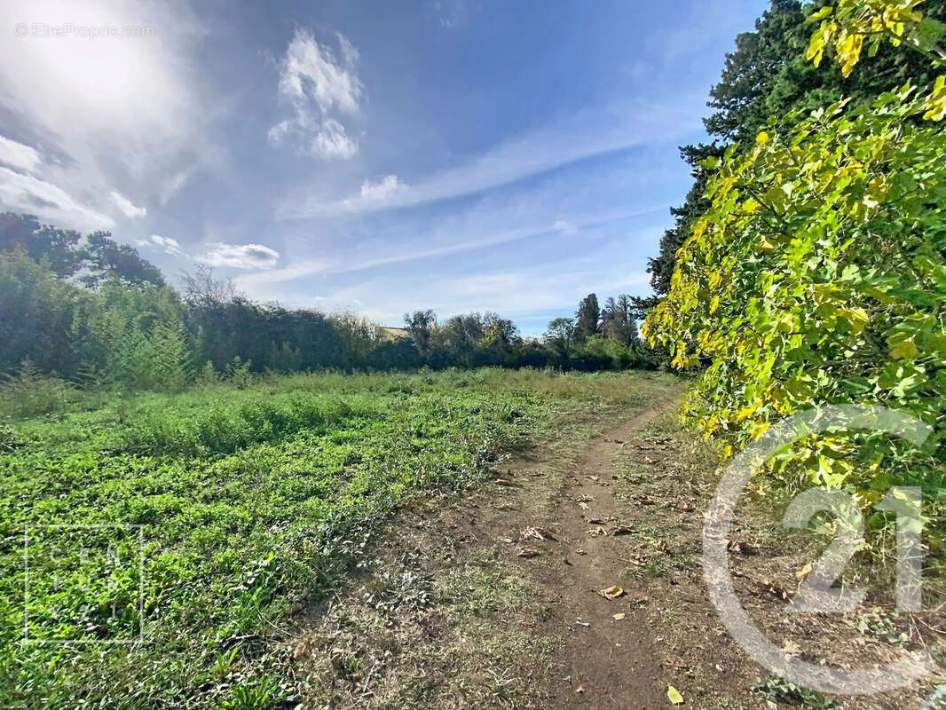 Terrain à TOULOUGES