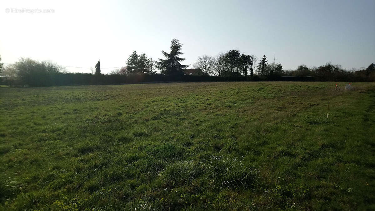 Terrain à MAINTENON